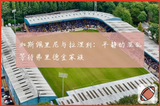 加斯佩里尼与拉涅利：平静的混乱等待弗里德金家族