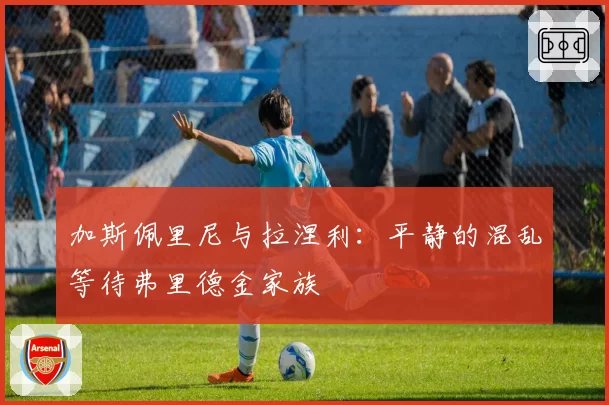 加斯佩里尼与拉涅利：平静的混乱等待弗里德金家族