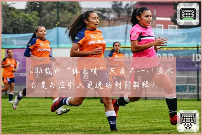 CBA裁判“体毛哨”尺度不一，技术台是否应引入更透明判罚解释？