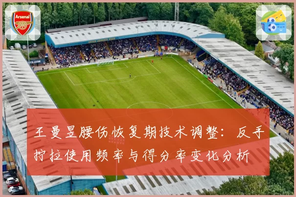 王曼昱腰伤恢复期技术调整：反手拧拉使用频率与得分率变化分析